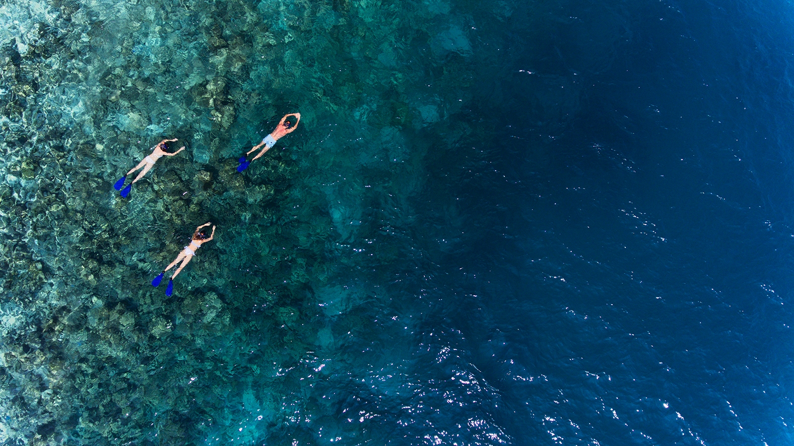 snorkelling