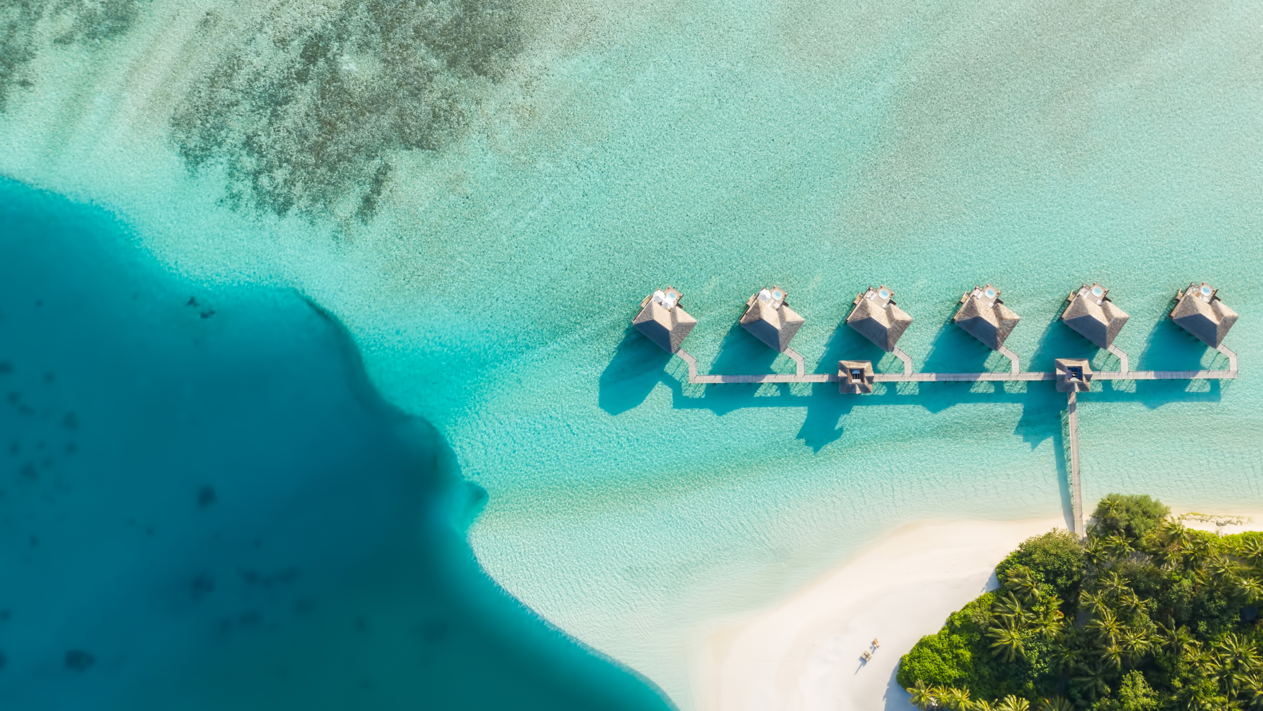 A Wonderworld at Conrad Maldives —  The Exclusive Undersea Academy