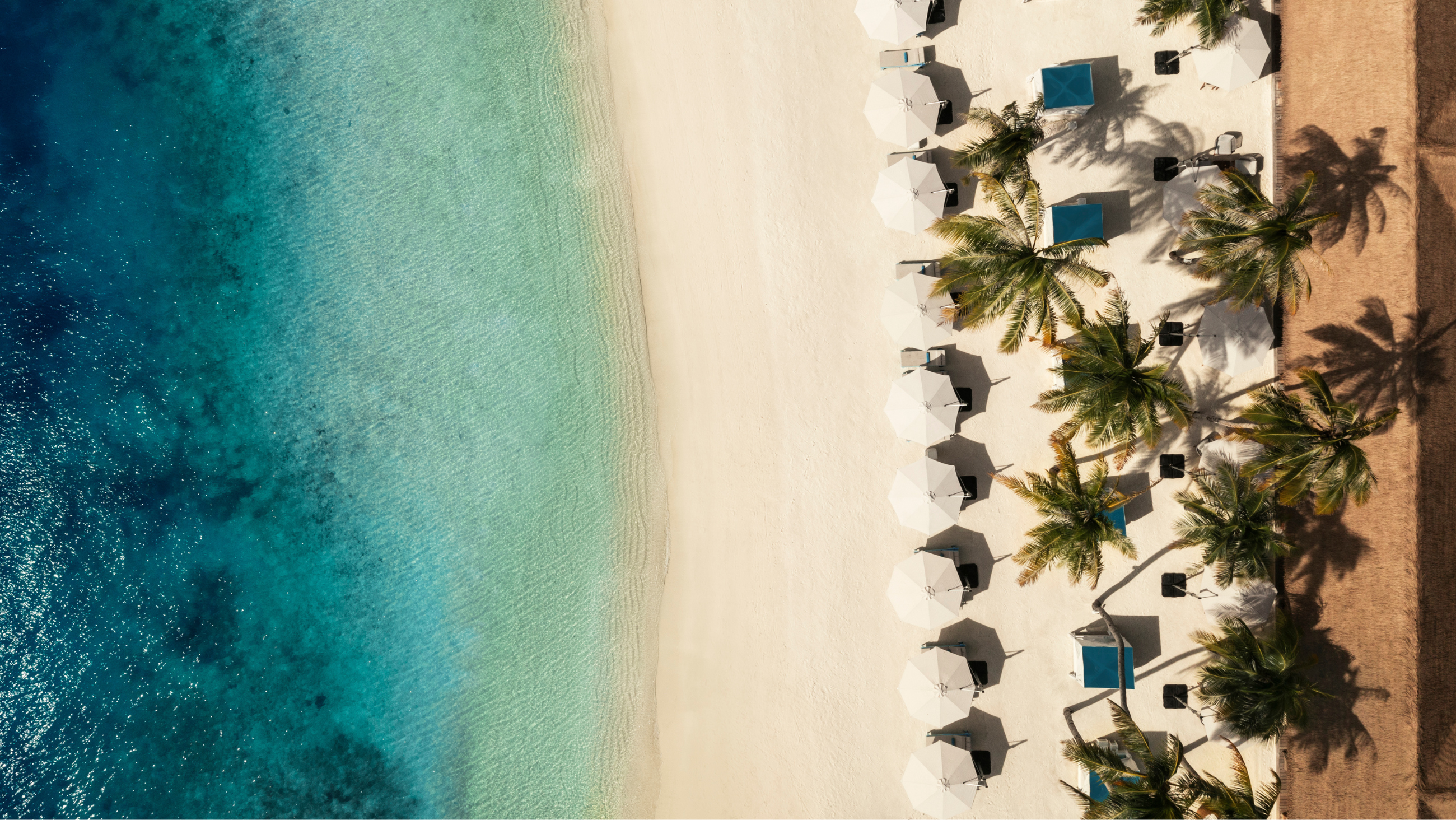 Glimpses of luxury: New Year 2024 Unveiled in Maldives