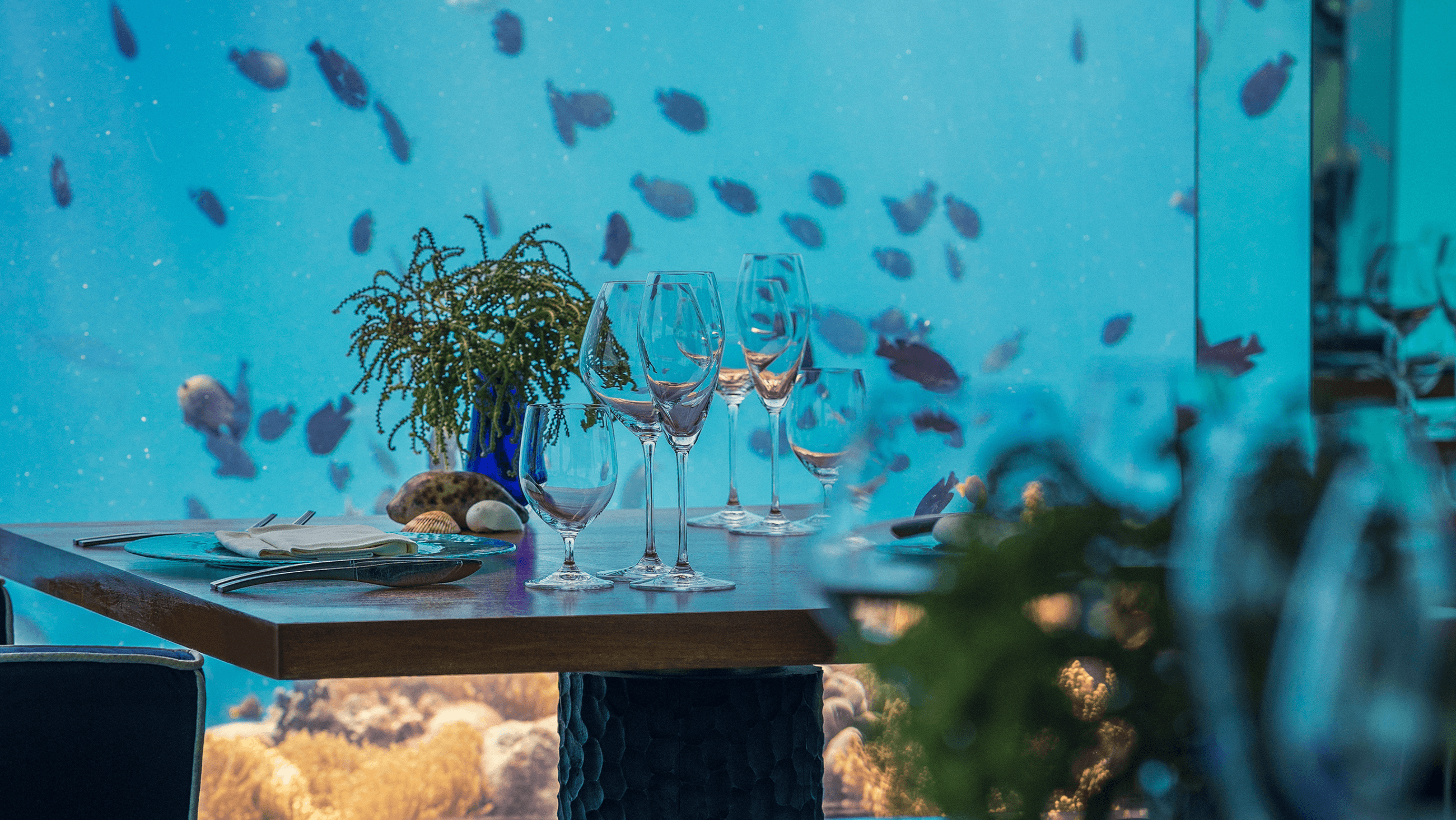 Beneath the Waves: Dine Underwater in Maldives