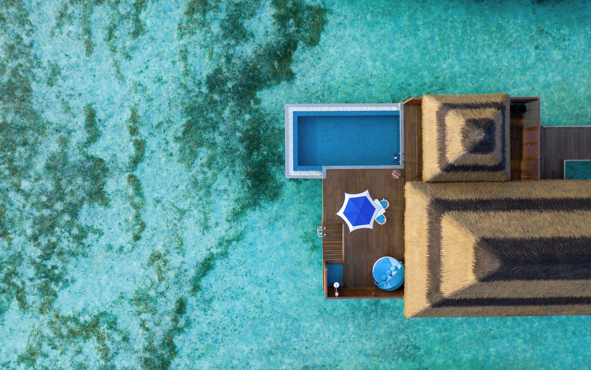 Ocean Pool Suite