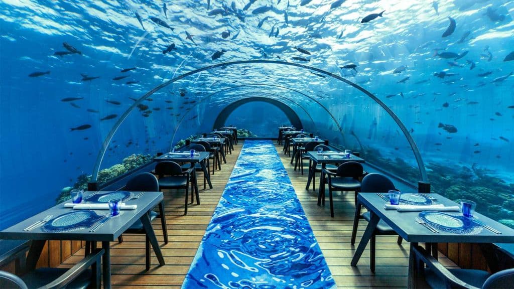 Experience the 5.8 Undersea Restaurant