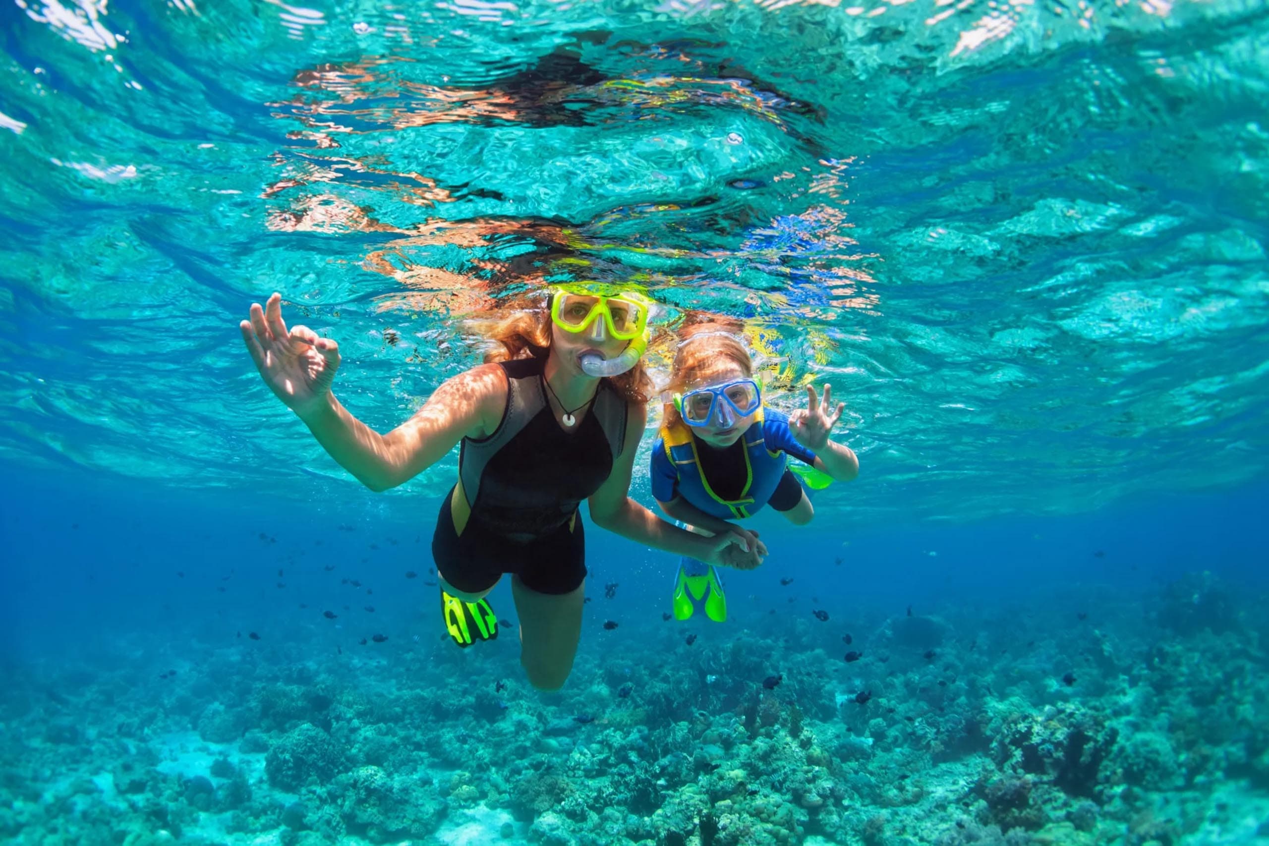 Night Snorkelling