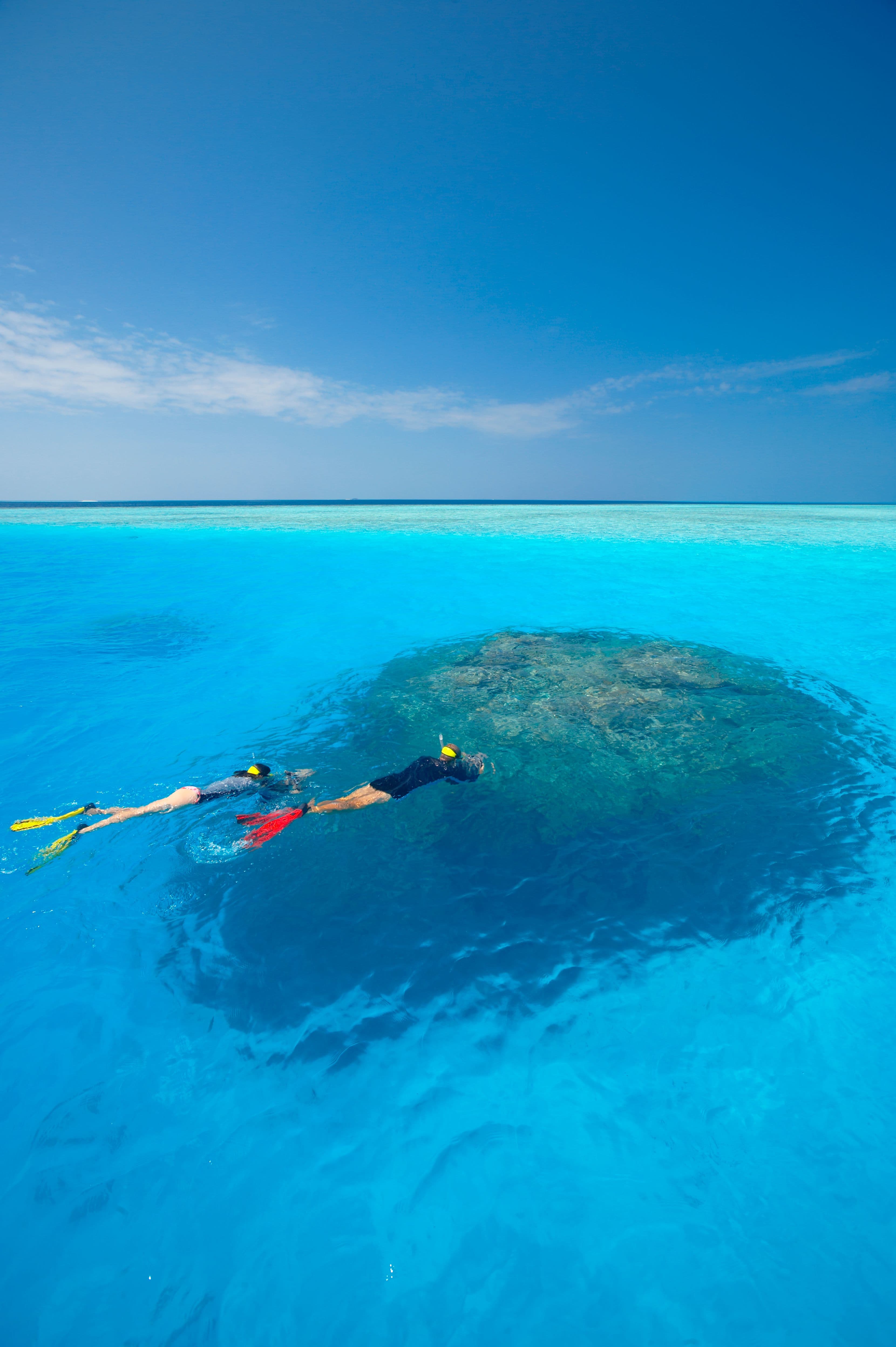 Private House Reef Snorkeling