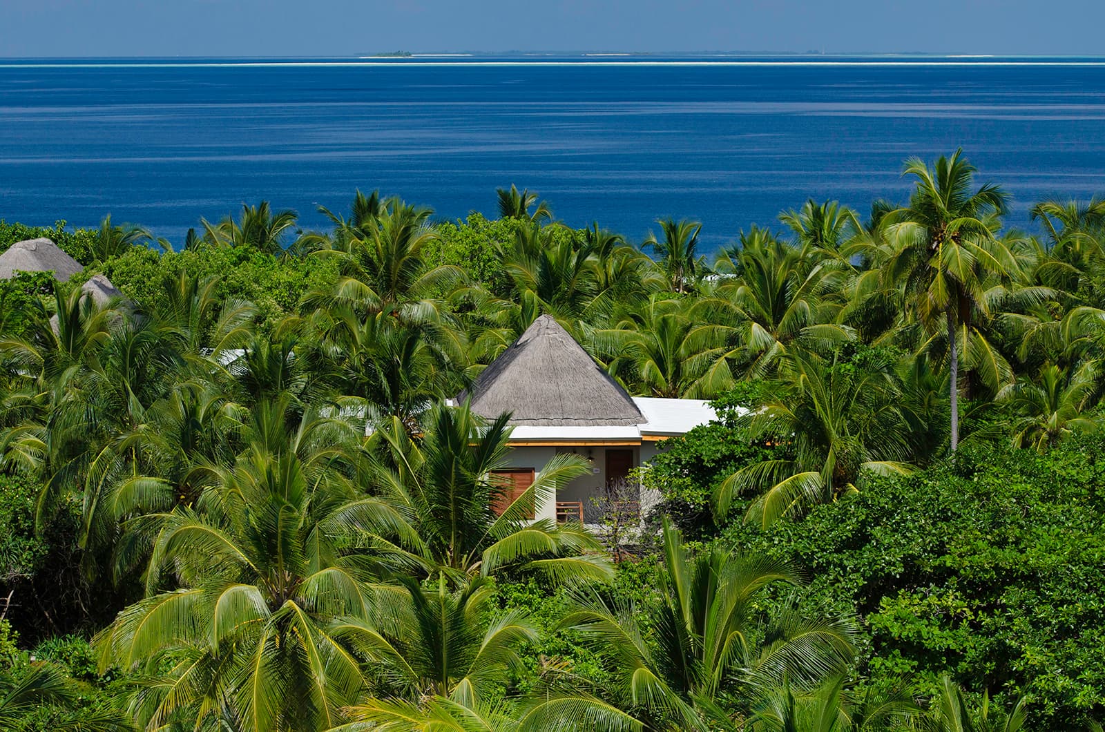 Treetop Villa