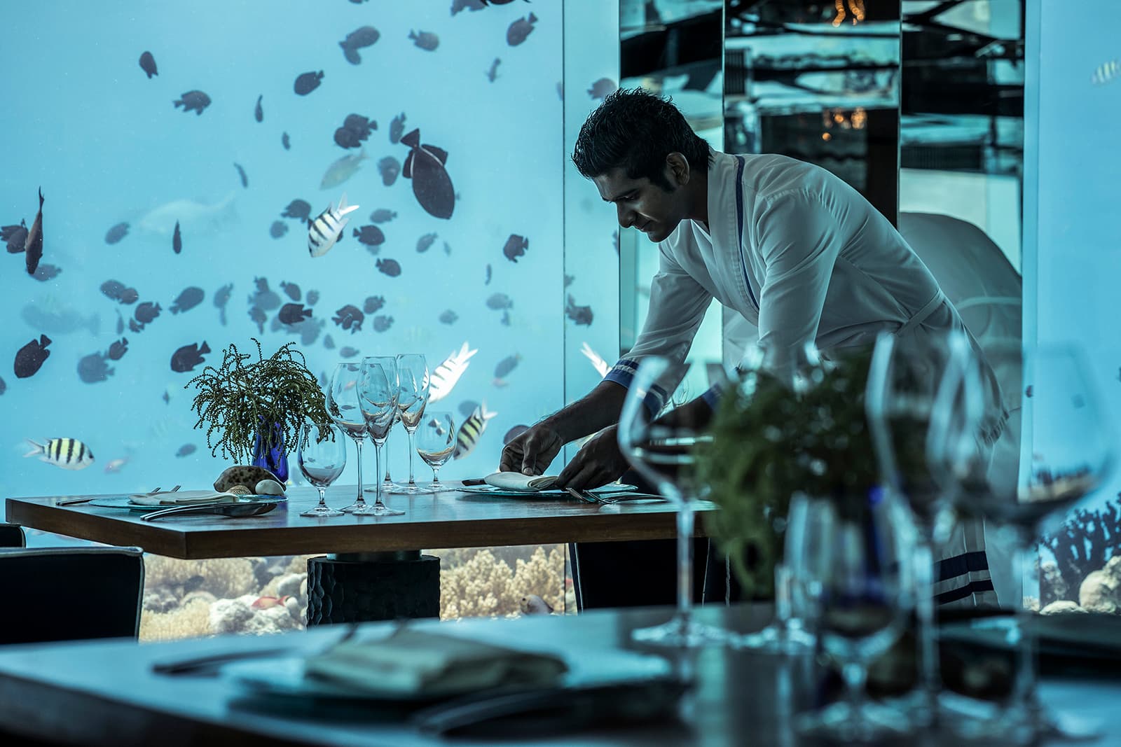 Underwater Dining