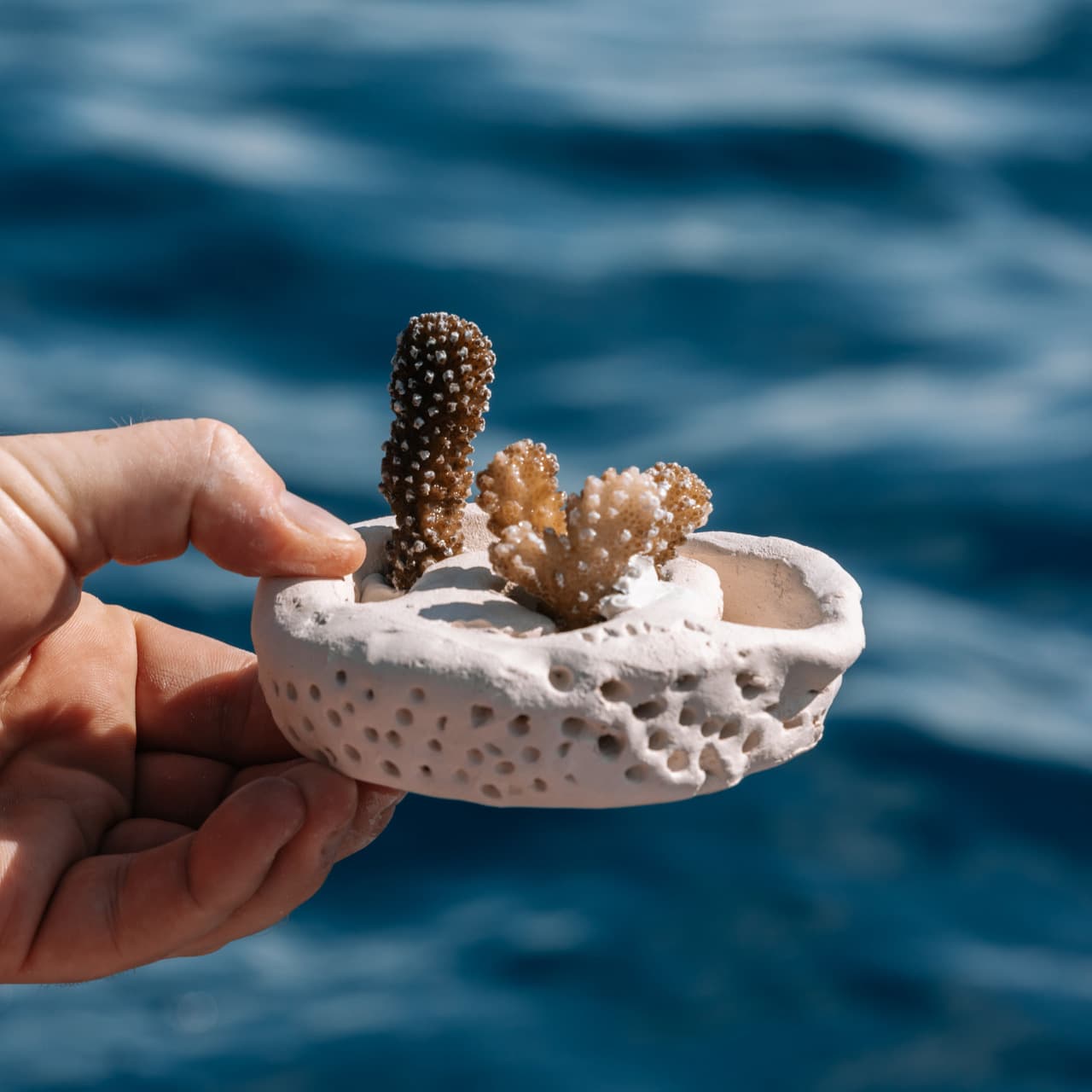 Ceramics and Coral Conservation Workshop
