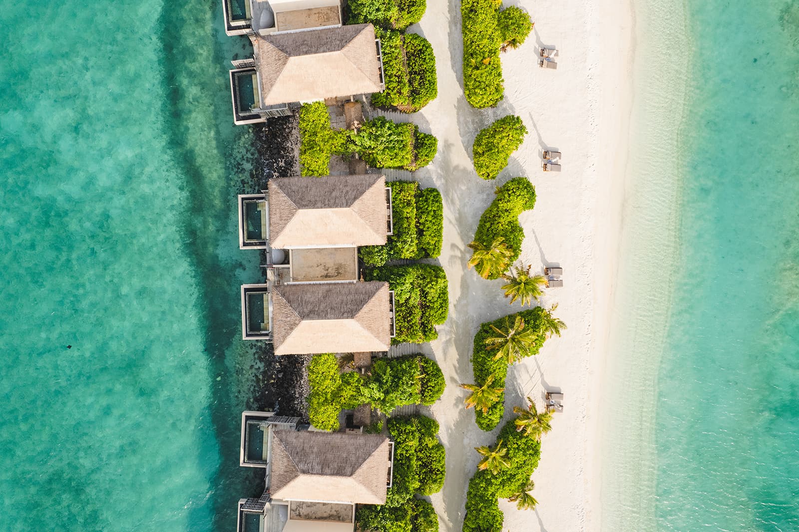 One Bedroom Lagoon Pool Villas
