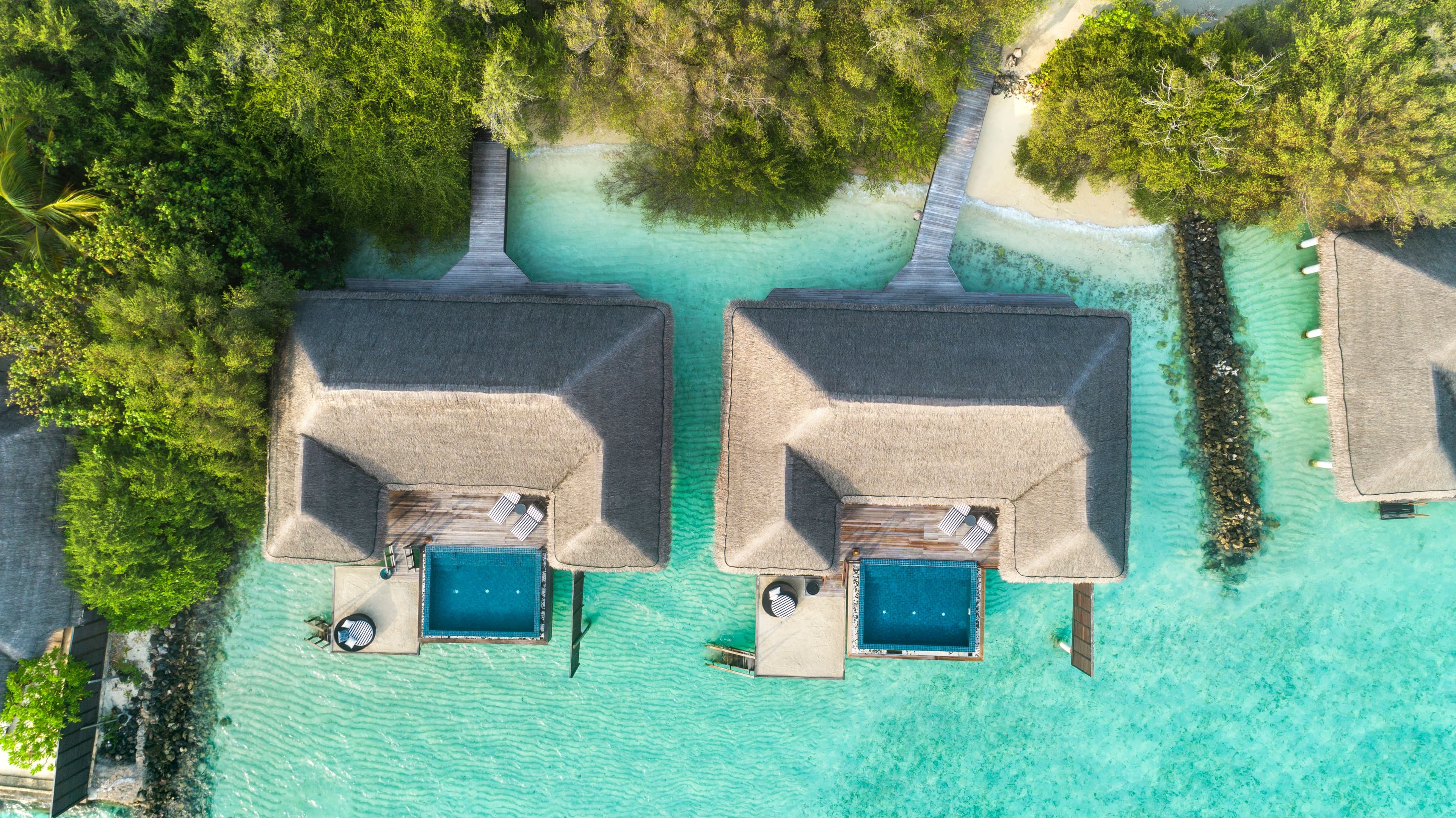 One Bedroom Ocean Suites With Pool