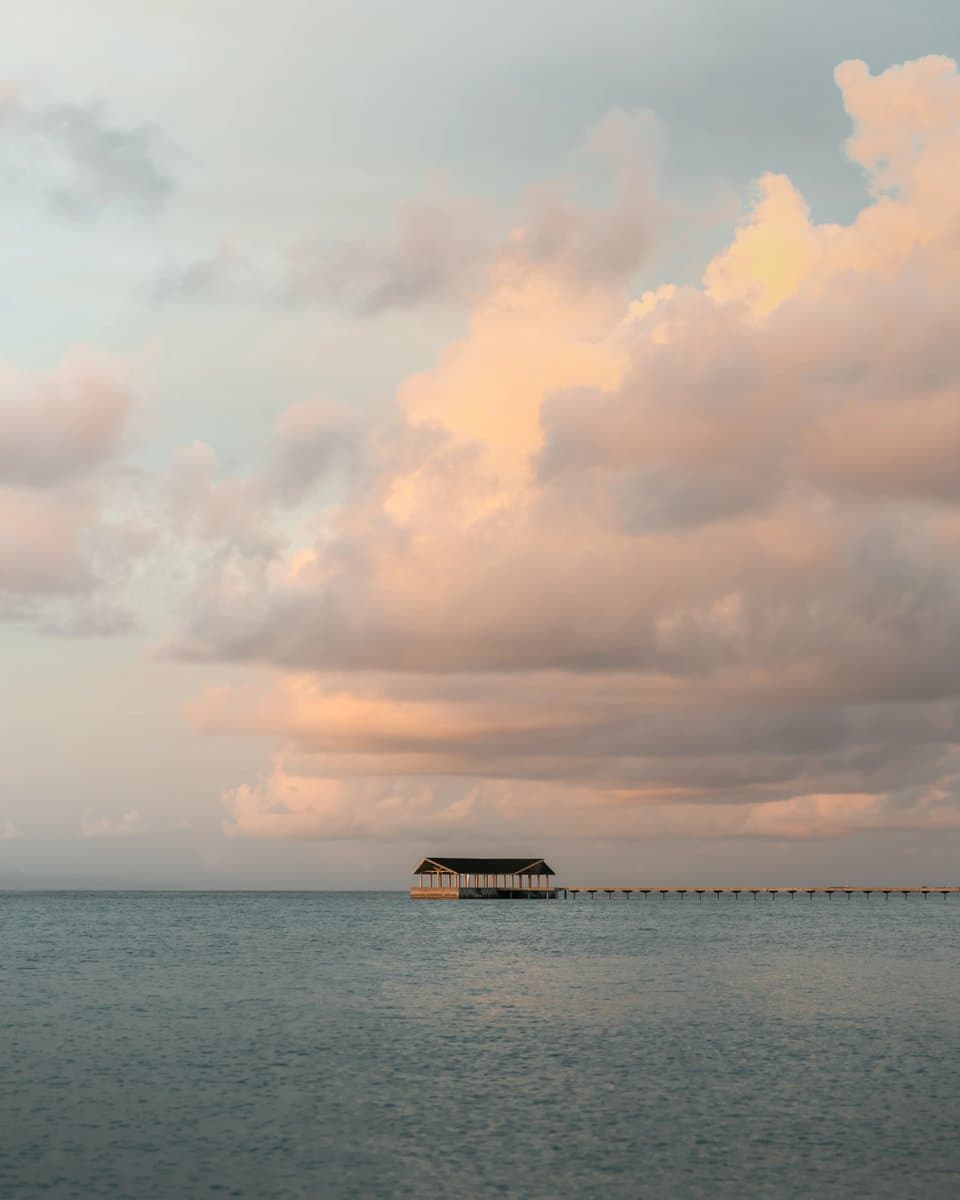 Sunset View